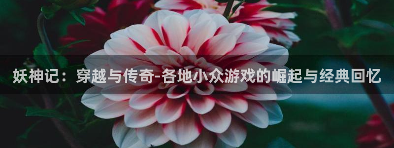 包子漫画入口界面