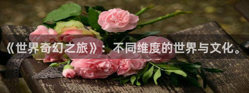 包子漫画官方入口：《世界奇幻之旅》：不同维度的世界与文化。